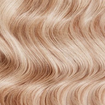 California Blonde