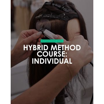 Hybrid Individual Course