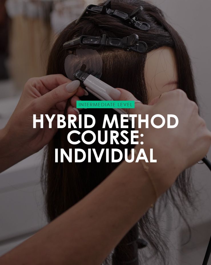 Hybrid Individual Course