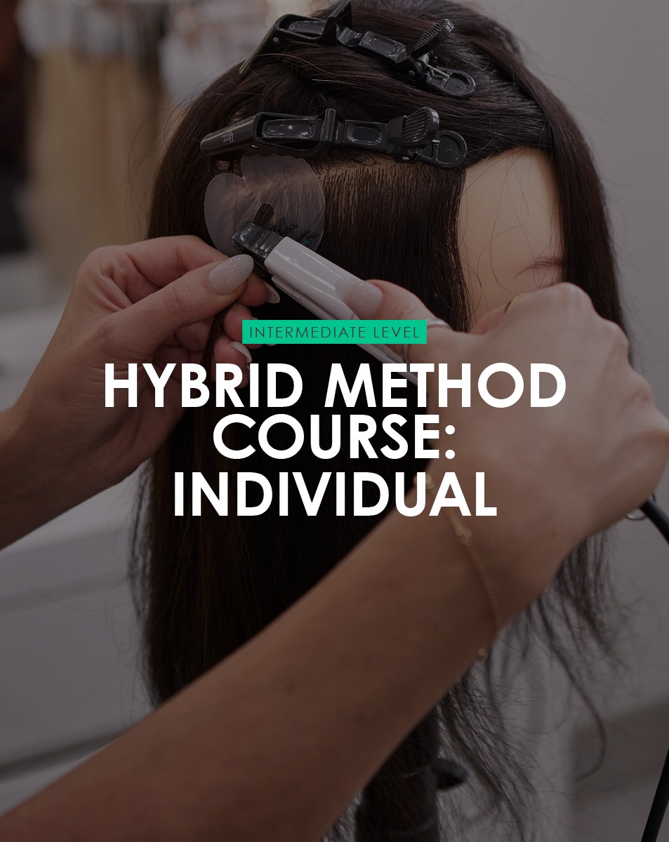 Hybrid Individual Course